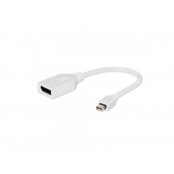 Adaptateur CableXpert DisplayPort A-mDPM-DPF-001-W