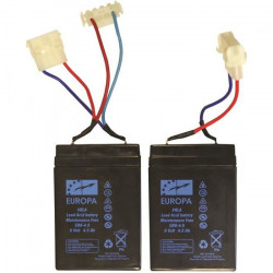 ANATEC Lot de 2 Batteries...